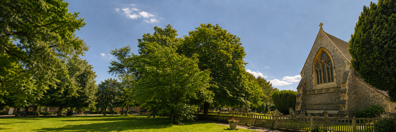 Feature image